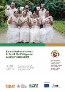 Farmer business schools in Bohol, the Philippines: A gender assessment.