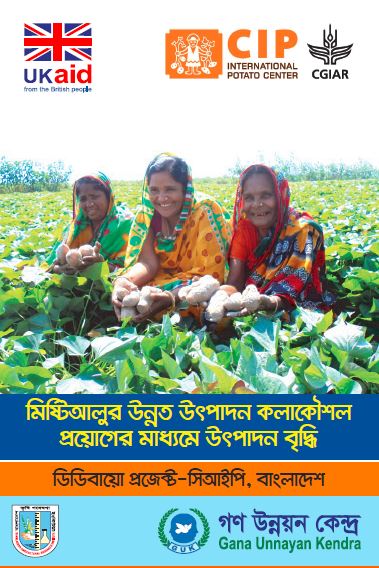 Increasing sweetpotato yield through modern production technology (Bengali).