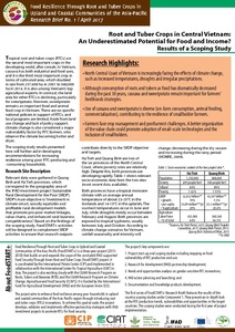 Root and tuber crops in Central Vietnam: an underestimated potential for food  and income? Results of a scoping study.