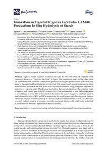 Innovation in Tigernut (Cyperus Esculentus L.) milk production: in situ hydrolysis of starch