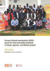 Orange‐fleshed sweetpotato (OFSP) puree for fried and baked products in Kenya, Uganda, and Malawi project. 2019‐2020 Workplan review meeting.