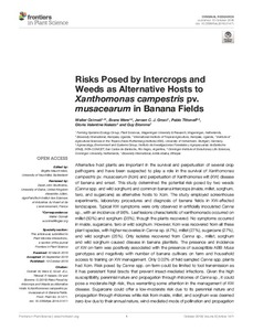 Risks posed by intercrops and weeds as alternative hosts to Xanthomonas campestris pv. musacearum in banana fields