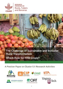 The challenge of sustainable and inclusive rural transformation: which ...