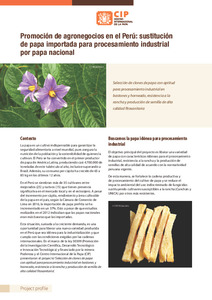 Promocion de agronegocios en el Peru: sustitucion de papa importada para procesamiento industrial por papa nacional. Perfil de proyecto.