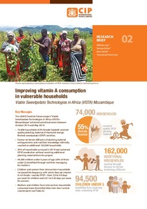 Improving vitamin A consumption in vulnerable households. Viable Sweetpotato Technologies in Africa (VISTA) Mozambique. Research Brief 02