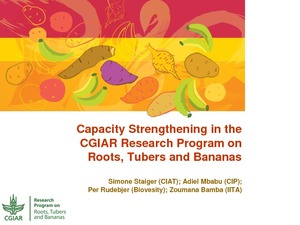 Capacity Strengthening in the CGIAR Research Program on Roots, Tubers and Bananas.