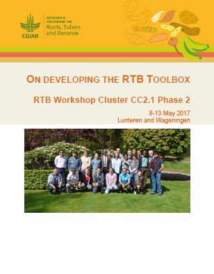 On developing the RTB toolbox. RTB workshop cluster CC2.1 phase 2.