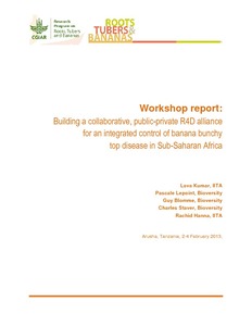 Workshop on building a collaborative, public-private R4D alliance for an integrated control of banana bunchy top disease in Sub-Saharan Africa (2-4 February 2013, Arusha, Tanzania).