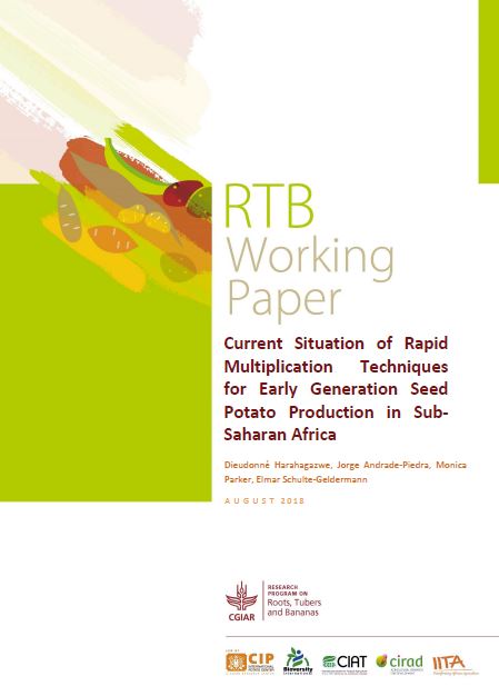 Current situation of rapid multiplication techniques for early generation seed potato production in Sub-Saharan Africa