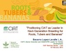 Positioning CIAT as leader in next generation breeding for roots, tubers and bananas