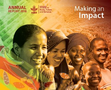 RTB Annual Report 2018: Making an Impact.