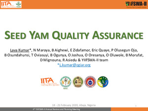Seed yam quality assurance
