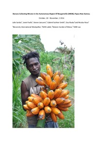 Banana collecting mission in the Autonomous Region of Bougainville (AROB), Papua New Guinea.