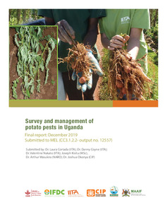 Survey and management of potato pests in Uganda (CC3.1.2.2 - output no. 12557)