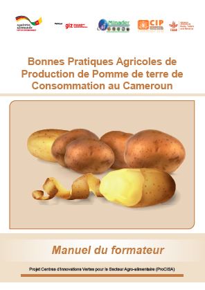 Bonnes pratiques agricoles de production de pomme de terre de consommation au Cameroun: Manuel du formateur