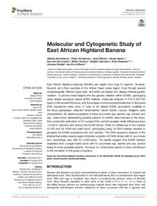 Molecular and cytogenetic study of east African highland banana