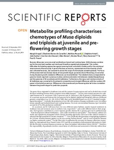 Metabolite profiling characterises chemotypes of Musa diploids and triploids at juvenile and preflowering growth stages