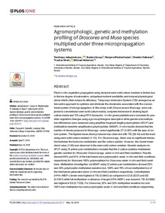 Agromorphologic, genetic and methylation profiling of Dioscorea and Musa species multiplied under three micropropagation systems