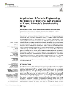 Application of genetic engineering for control of bacterial wilt disease of enset, Ethiopia's sustainability crop