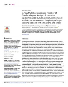 A new Multi Locus Variable Number of Tandem Repeat Analysis Scheme for epidemiological surveillance of Xanthomonas vasicola pv. musacearum, the plant pathogen causing bacterial wilt on banana and enset