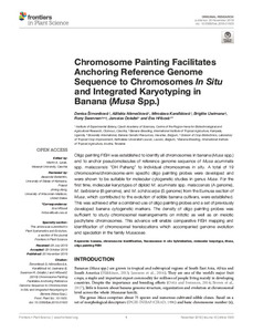 Chromosome painting facilitates anchoring reference genome sequence to chromosomes In Situ and integrated karyotyping in banana (Musa Spp.)