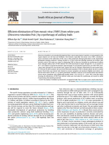 Efficient elimination of Yam mosaic virus (YMV) from white yam (Dioscorea rotundata Poir.) by cryotherapy of axillary buds