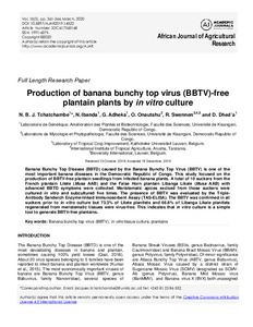 Production of banana bunchy top virus (BBTV)-free plantain plants by in vitro culture