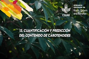 Extracción y cuantificación de carotenos