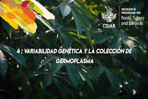 Colección de germoplasma y variabilidad genética
