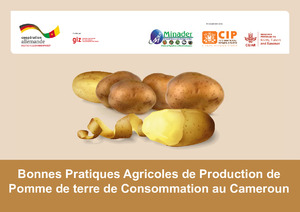 Bonnes pratiques agricoles de production de pomme de terre de consommation au Cameroun: Aide visuelle