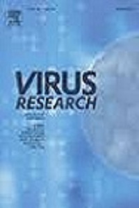 Resolution of cassava-infecting alphaflexiviruses: Molecular and biological characterization of a novel group of potexviruses lacking the TGB3 gene