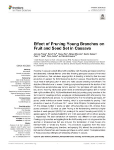 Effect of pruning young branches on fruit and seed set in cassava