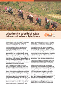 Unleashing the potential of potato  to increase food security in Uganda