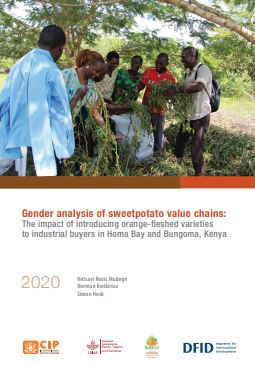 Gender analysis of sweetpotato value chains: The impact of introducing orange-fleshed varieties to industrial buyers in Homa Bay and Bungoma, Kenya.
