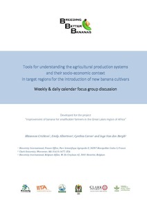 Tools for understanding the agricultural production systems and their socio-economic context in target regions for the introduction of new banana cultivars: Weekly & daily calendar focus group discussion.