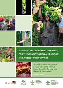 Summary booklet of the global strategy for the conservation and use of Musa genetic resources : A consultative document prepared by the Global Musa Genetic Resources Network (MusaNet)