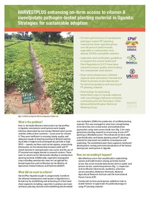 HARVESTPLUS enhancing on-farm access to vitamin A sweetpotato pathogen-tested planting material in Uganda: Strategies for sustainable adoption.