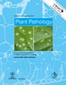 A rebuttal to the letter to the editor concerning 'Defining species boundaries in the genus Phytophthora: the case of Phytophthora andina'.