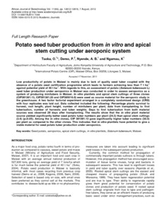 Potato seed tuber production from in vitro and apical stem cutting under aeroponic system.