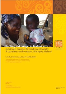 Rooting out hunger in Malawi with nutritious orange-fleshed sweetpotato: A baseline survey report, Blantyre, Malawi.