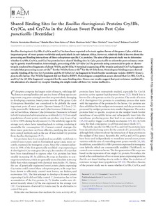 Shared binding sites for the Bacillus thuringiensis proteins Cry3Bb, Cry3Ca and Cry7Aa in the African sweetpotato pest Cylas puncticollis (Brentidae).