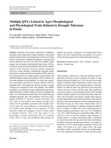 Multiple QTLs linked to agro-morphological and physiological traits related to drought tolerance in potato.