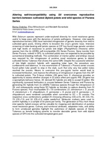 Altering self-incompatibility using Sli overcomes reproductive barriers between cultivated diploid potato and wild species of Piurana Series.