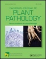 Sweetpotato cultivar degeneration rate under high and low sweetpotato virus disease pressure zones in Uganda.