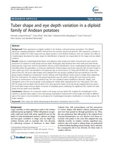 Tuber shape and eye depth variation in a diploid family of Andean potatoes.