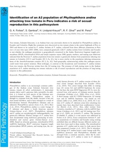 Identification of an A2 population of Phythophthora andina attacking tree tomato in Peru indicates a risk of sexual reproduction in this pathosystem.