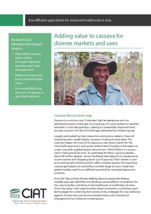 Adding value to cassava for diverse markets and uses