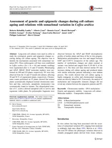 Assessment of genetic and epigenetic changes during cell culture ageing and relations with somaclonal variation in Coffea arabica