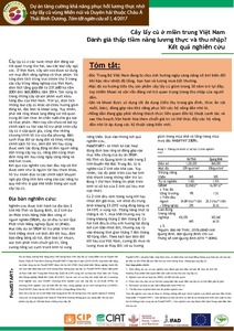 Brief of scoping study. Root and tuber crops in Central Vietnam: An underestimated potential for food and income (Vietnamese).