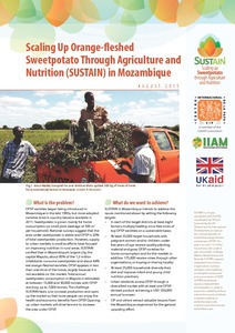 Scaling up orange-fleshed sweetpotato through agriculture and nutrition (SUSTAIN) in Mozambique